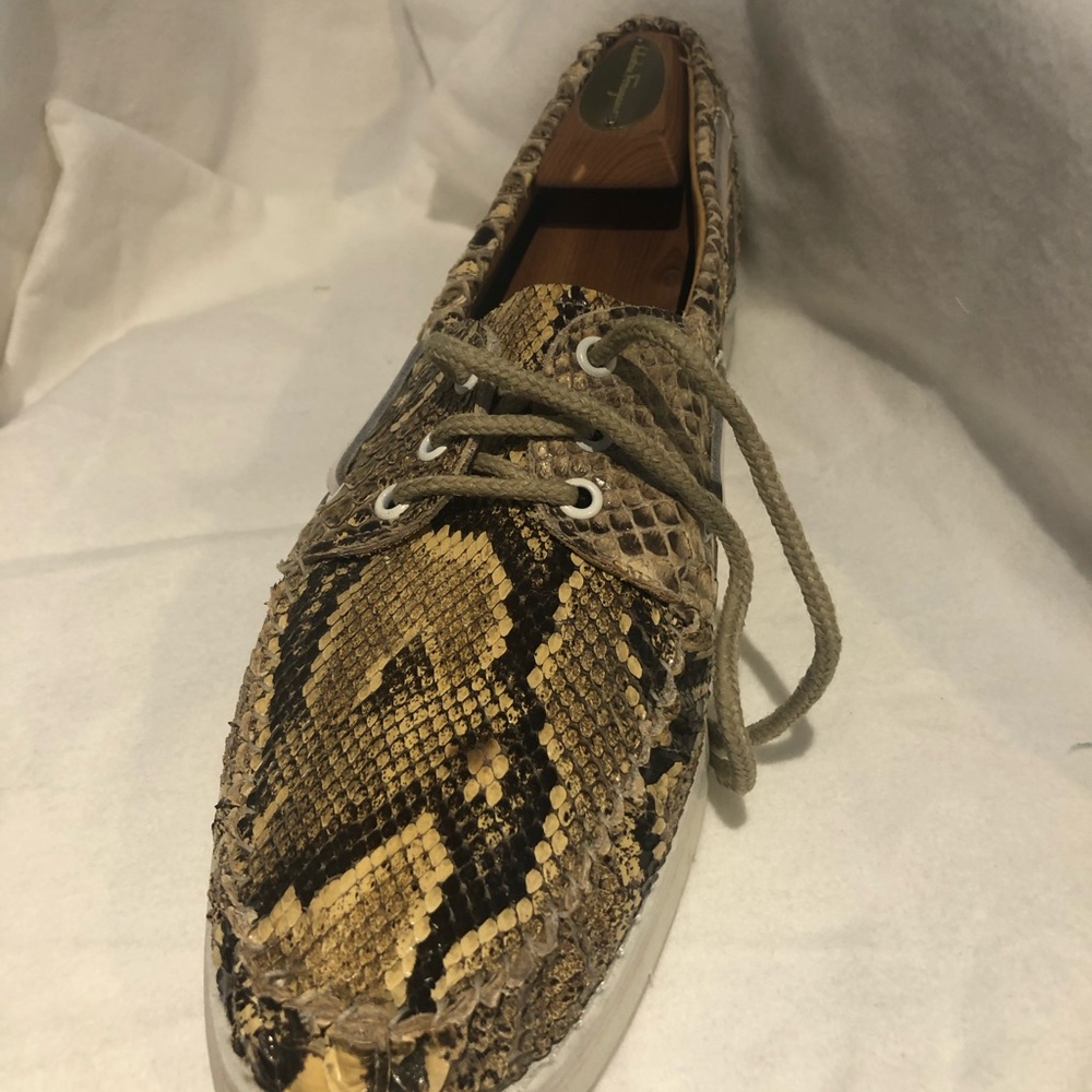 Python Top Snakers